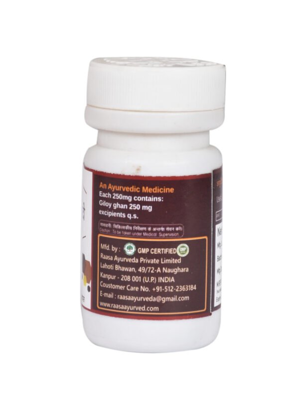 Giloy Ghanvati (100 Tablet) - Image 3